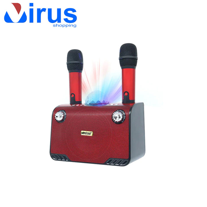 Karaoke altoparlante con due microfoni Bluethoot con luci